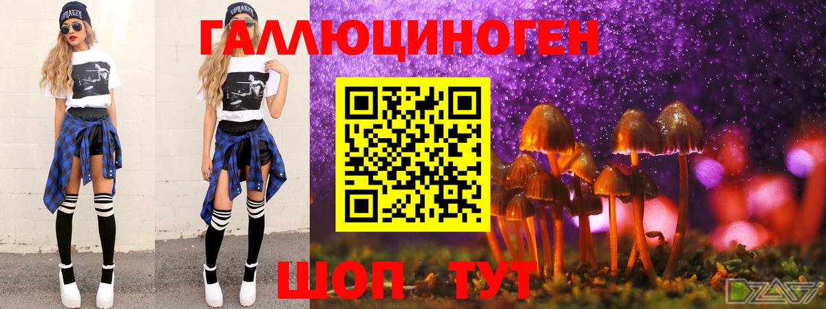 Галлюциногенные грибы Magic Shrooms  Галлюциногенные грибы ЛСД  Нальчик  Вход с VPN 